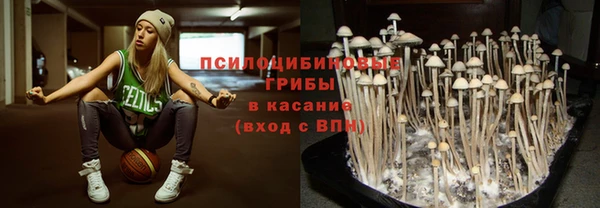 гашик Бородино
