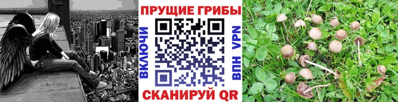Галлюциногенные грибы ЛСД Железноводск